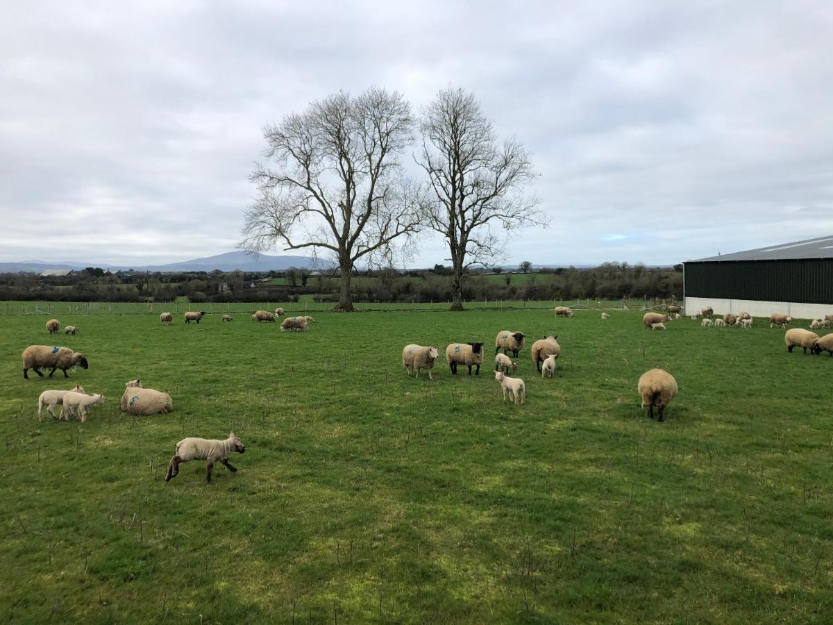 Knockreagh Farm Cottages, Callan, Casa vacanze *