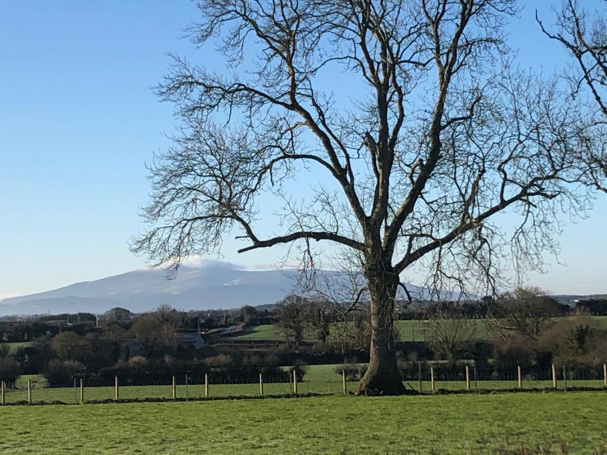 Knockreagh Farm Cottages, Callan, Casa vacanze *